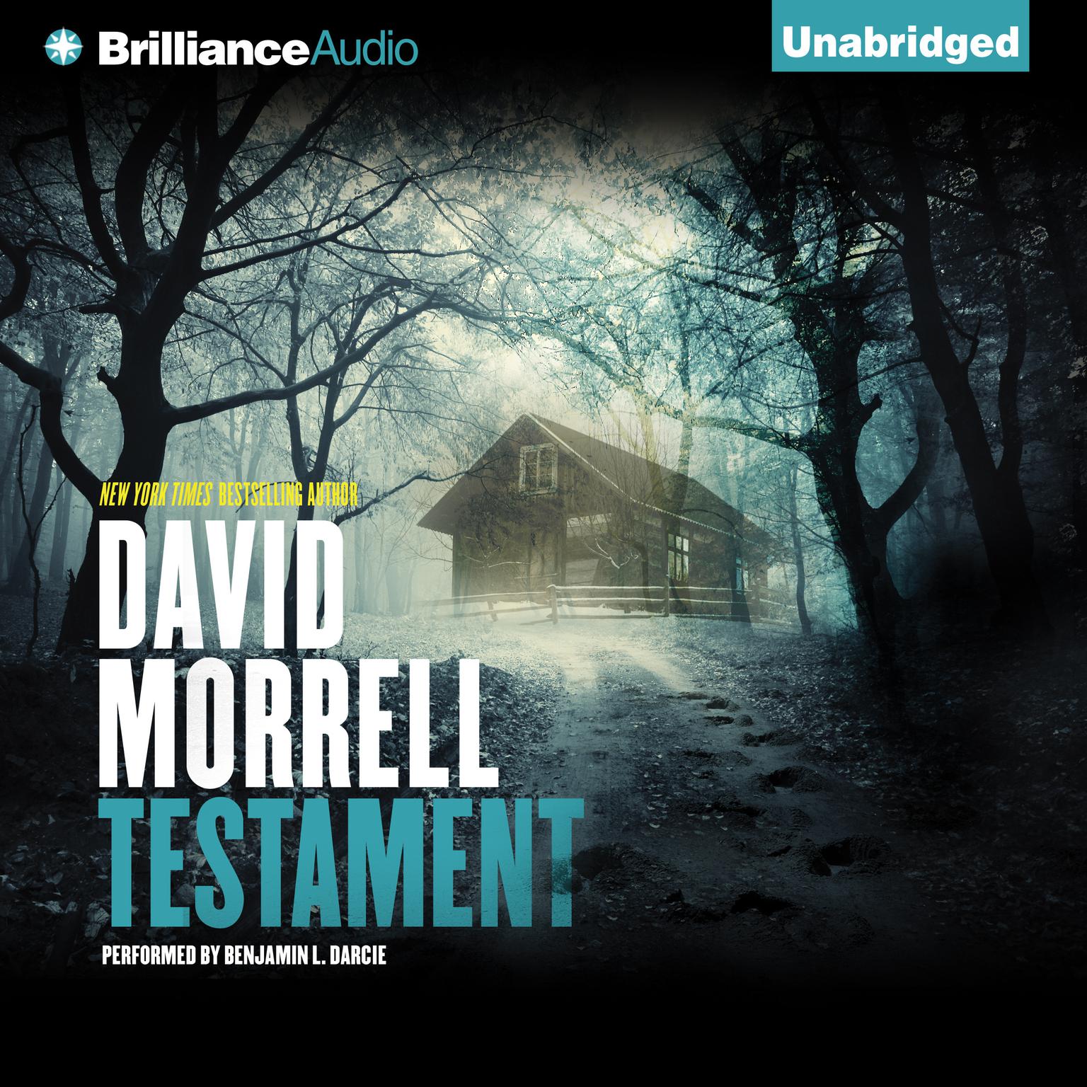 Testament Audiobook, by David Morrell