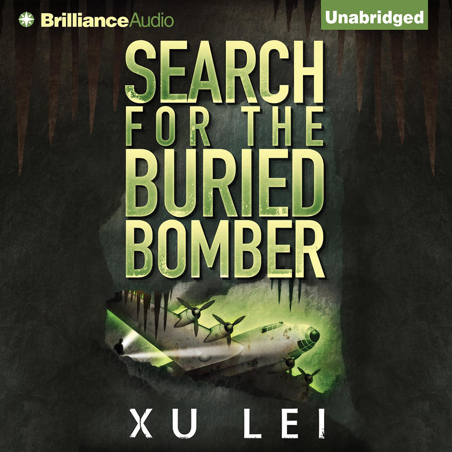 Search for the Buried Bomber Audiobook, by Xu Lei