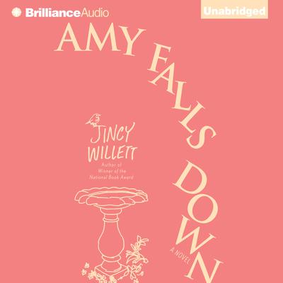 Amy Falls Down: A Novel Audiobook, by Jincy Willett