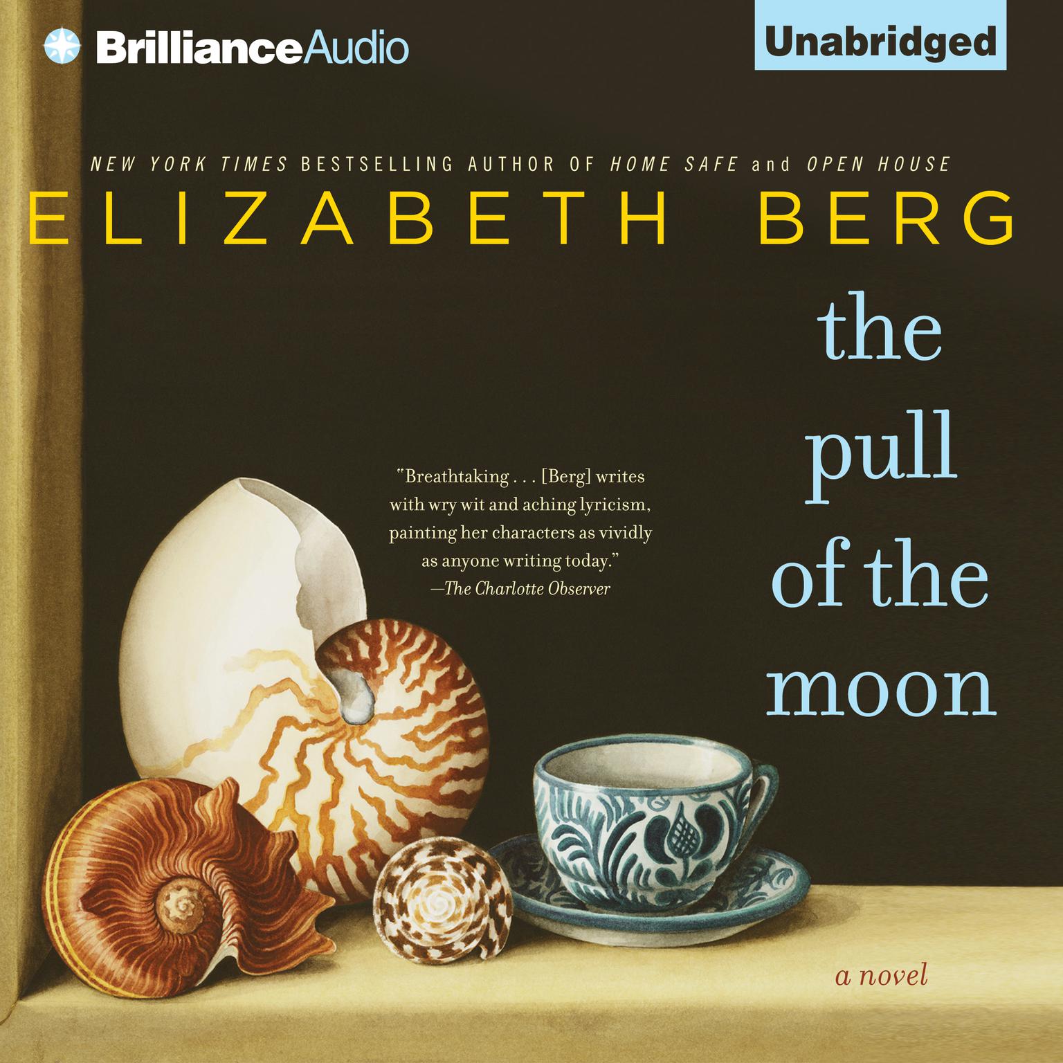 The Pull of the Moon Audiobook, by Elizabeth Berg