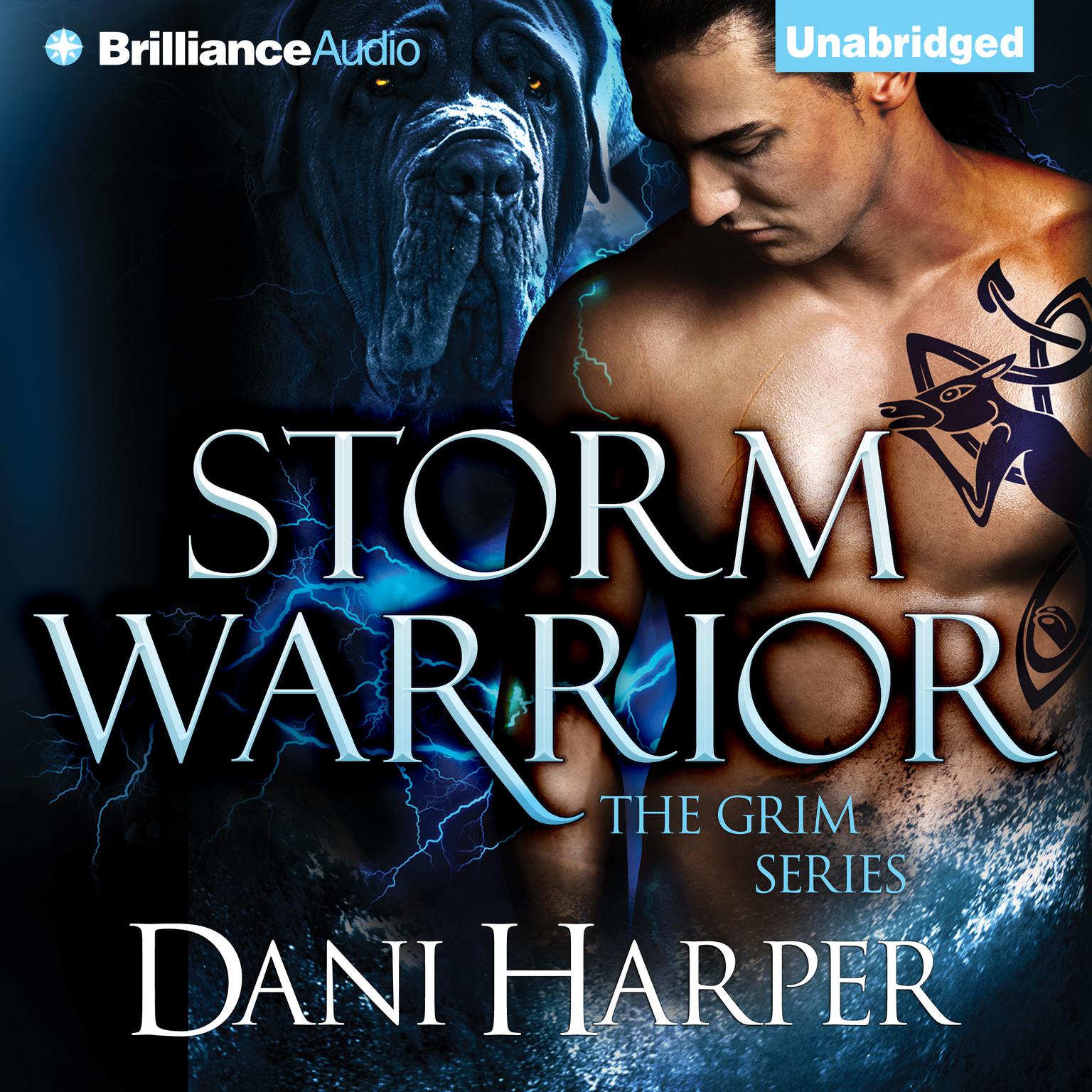 Storm Warrior Audiobook, by Dani Harper