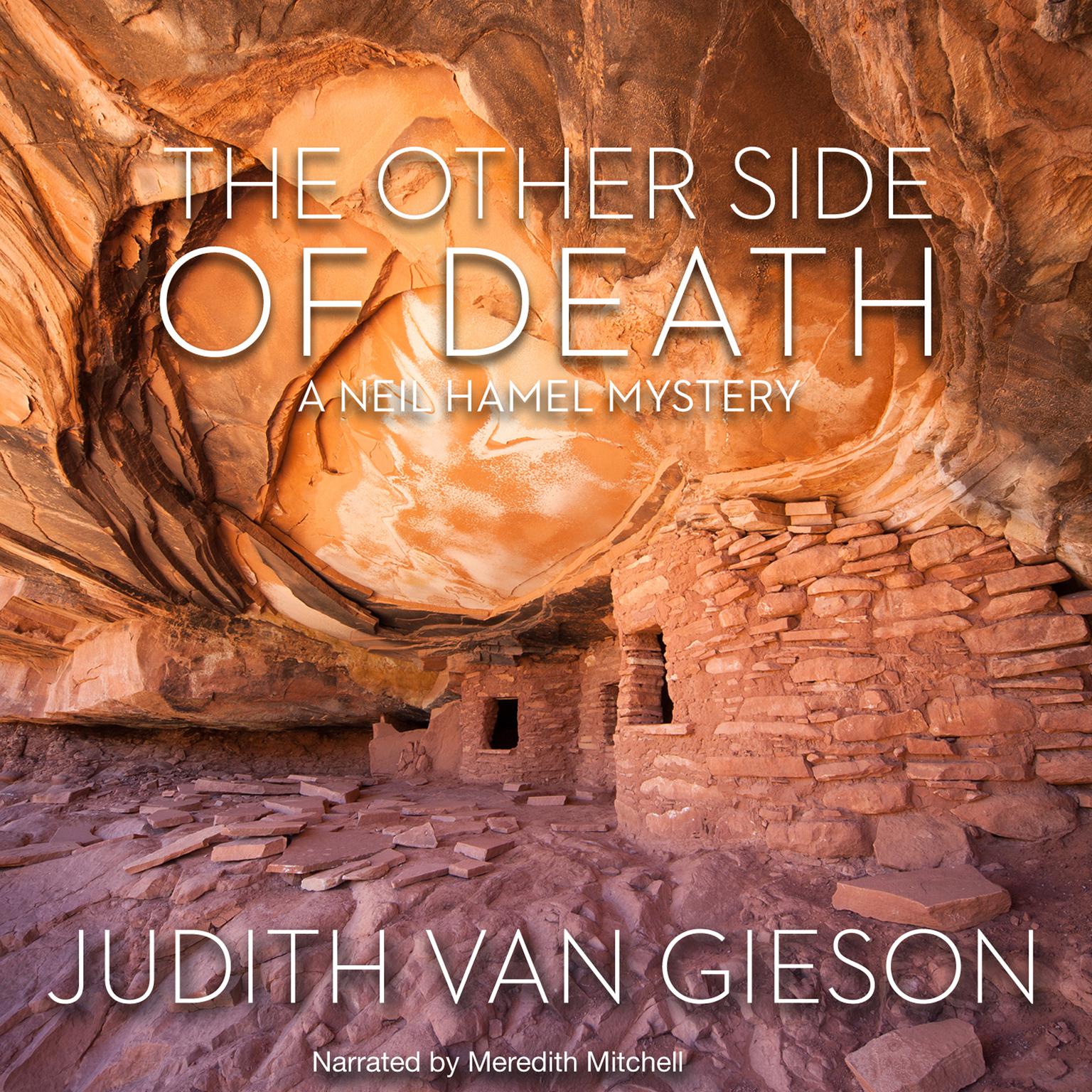 The Other Side of Death Audiobook, by Judith Van Gieson