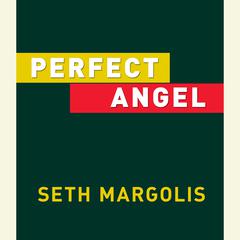 Perfect Angel Audiobook, by Seth Margolis