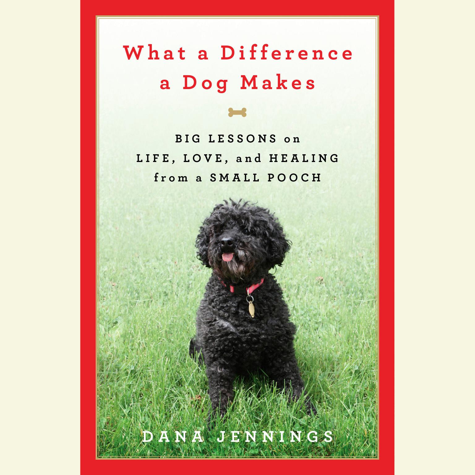 What a Difference a Dog Makes: Big Lessons on Life, Love and Healing from a Small Pooch Audiobook, by Dana Jennings