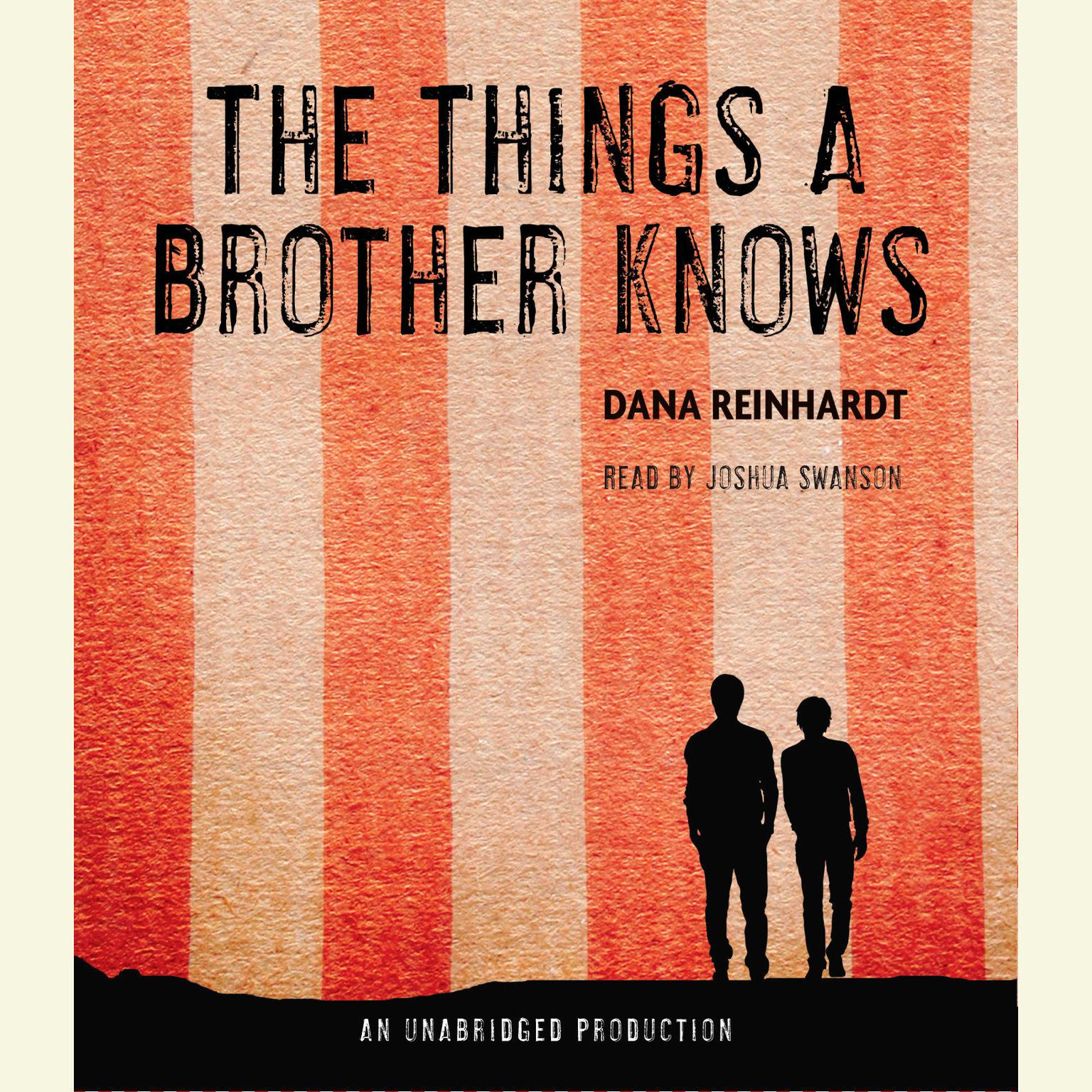 The Things a Brother Knows Audiobook, by Dana Reinhardt