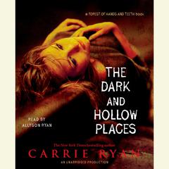 The Dark and Hollow Places Audiobook, by 