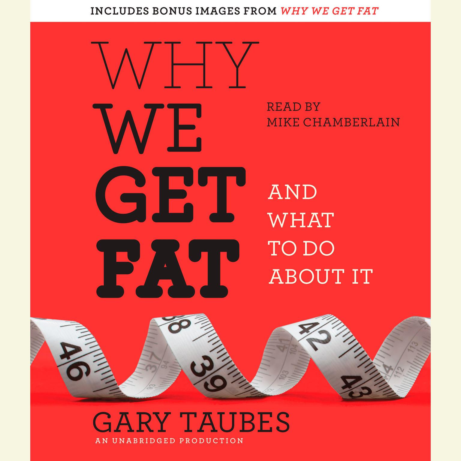 Why We Get Fat: And What to Do About It Audiobook, by Gary Taubes