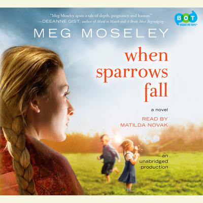 When Sparrows Fall: A Novel Audiobook, by Meg Moseley
