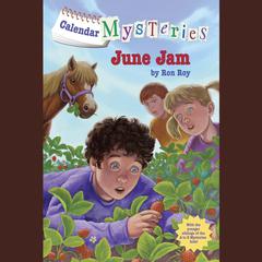 Calendar Mysteries #6: June Jam Audiobook, by Ron Roy