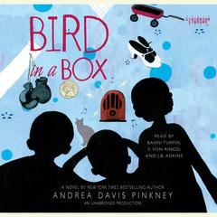 Bird in a Box Audiobook, by Andrea Davis Pinkney