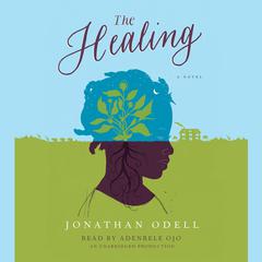 The Healing Audiobook, by 