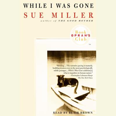 While I Was Gone: A Novel Audiobook, by 