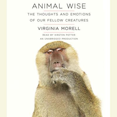 Animal Wise: The Thoughts and Emotions of Our Fellow Creatures Audiobook, by 
