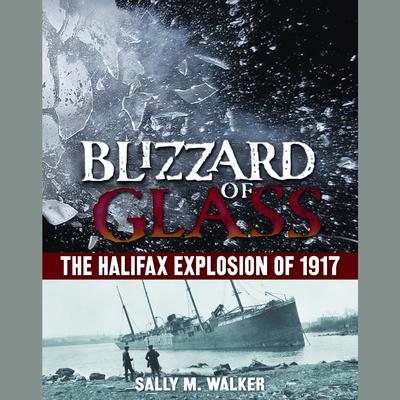 Blizzard of Glass: The Halifax Explosion of 1917 Audiobook, by Sally M. Walker