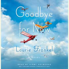 Goodbye for Now: A Novel Audiobook, by Laurie Frankel