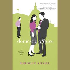 Domestic Affairs: A Novel Audiobook, by Bridget Siegel