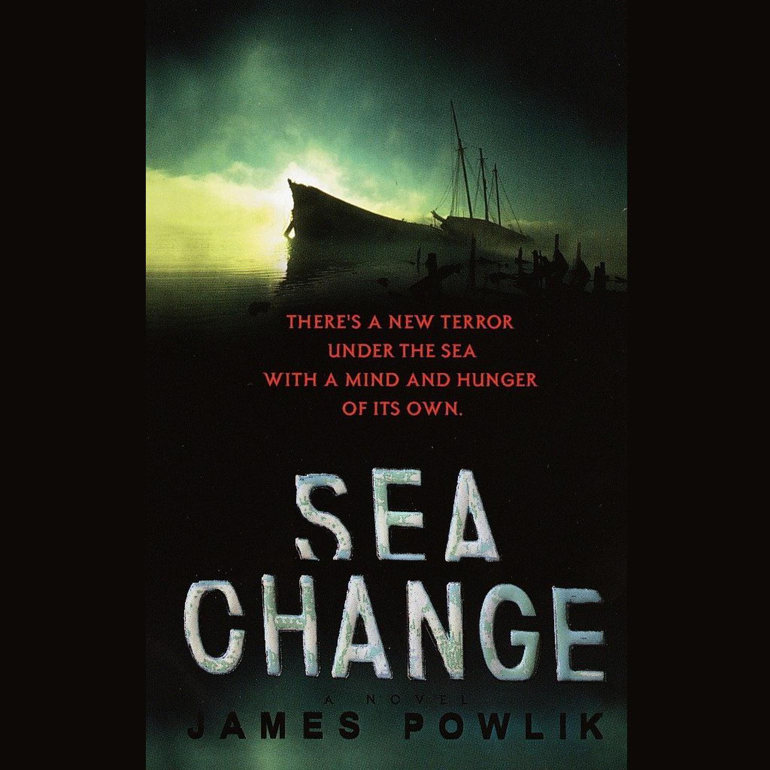 Sea Change (Abridged): A Novel Audiobook, by James Powlik