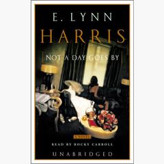 Not a Day Goes By: A Novel Audiobook, by E. Lynn Harris
