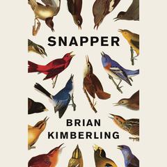 Snapper Audiobook, by Brian Kimberling