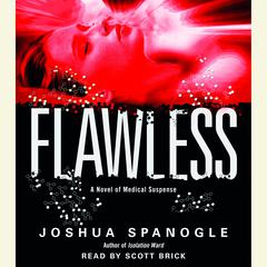 Flawless Audiobook, by Joshua Spanogle