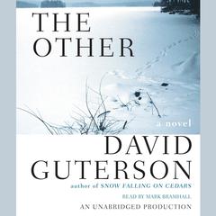 The Other Audiobook, by David Guterson