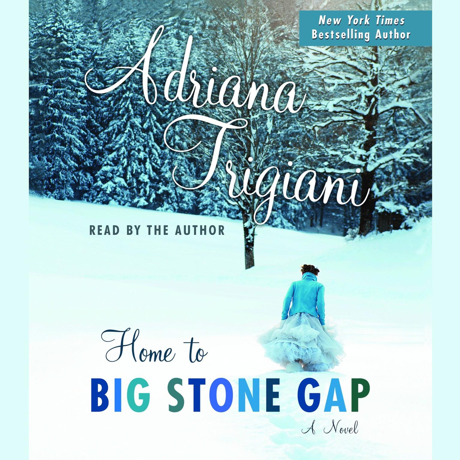 Home to Big Stone Gap (Abridged): A Novel Audiobook, by Adriana Trigiani