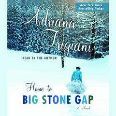 Home to Big Stone Gap: A Novel Audiobook, by Adriana Trigiani