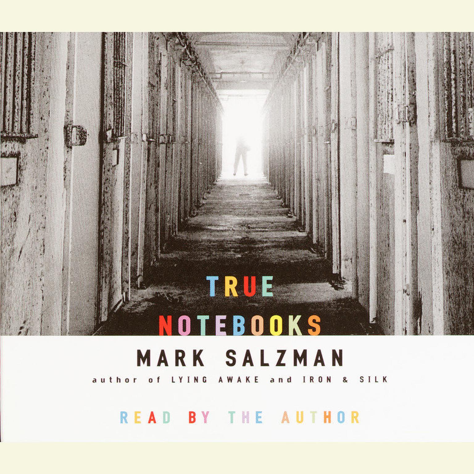 True Notebooks (Abridged): A Writers Year at Juvenile Hall Audiobook, by Mark Salzman