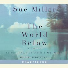 The World Below Audiobook, by Sue Miller
