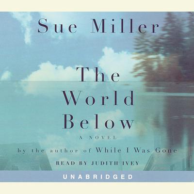 The World Below Audiobook, by Sue Miller