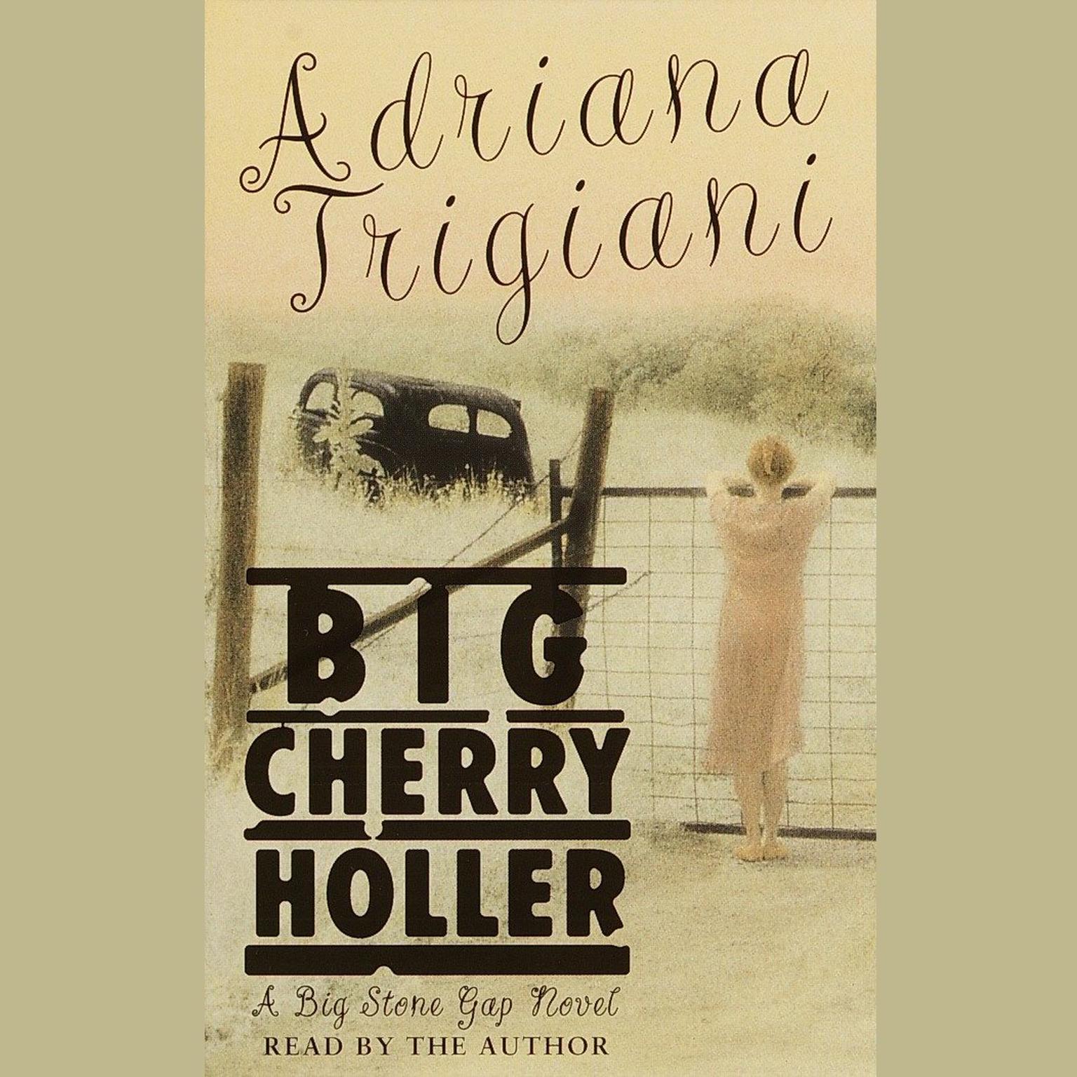 Big Cherry Holler (Abridged): A Novel Audiobook, by Adriana Trigiani