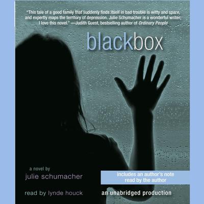 Black Box Audiobook, by Julie Schumacher