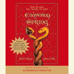 Endymion Spring Audiobook, by Matthew Skelton
