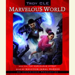 The Marvelous Effect: Marvelous World, Book 1 Audiobook, by Troy CLE
