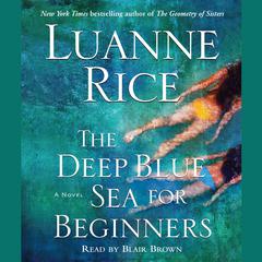 The Deep Blue Sea for Beginners Audiobook, by Luanne Rice