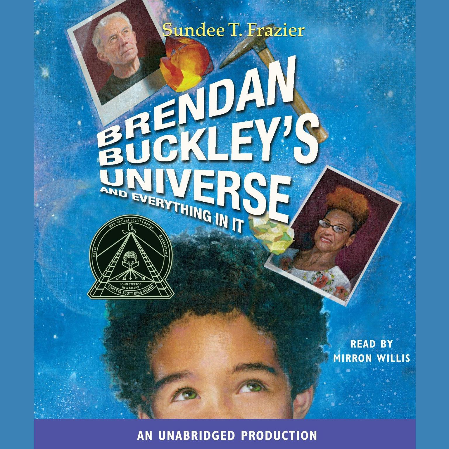 Brendan Buckleys Universe and Everything in It Audiobook, by Sundee T. Frazier