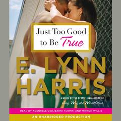 Just Too Good to Be True: A Novel Audiobook, by 
