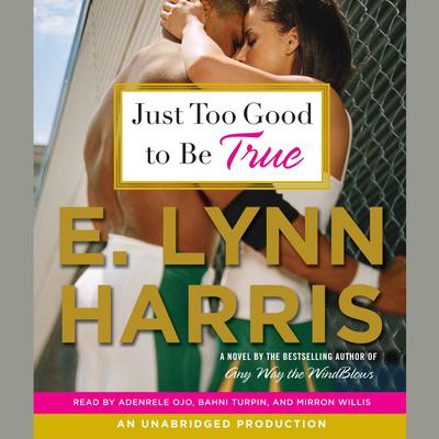 Just Too Good to Be True: A Novel Audiobook, by E. Lynn Harris