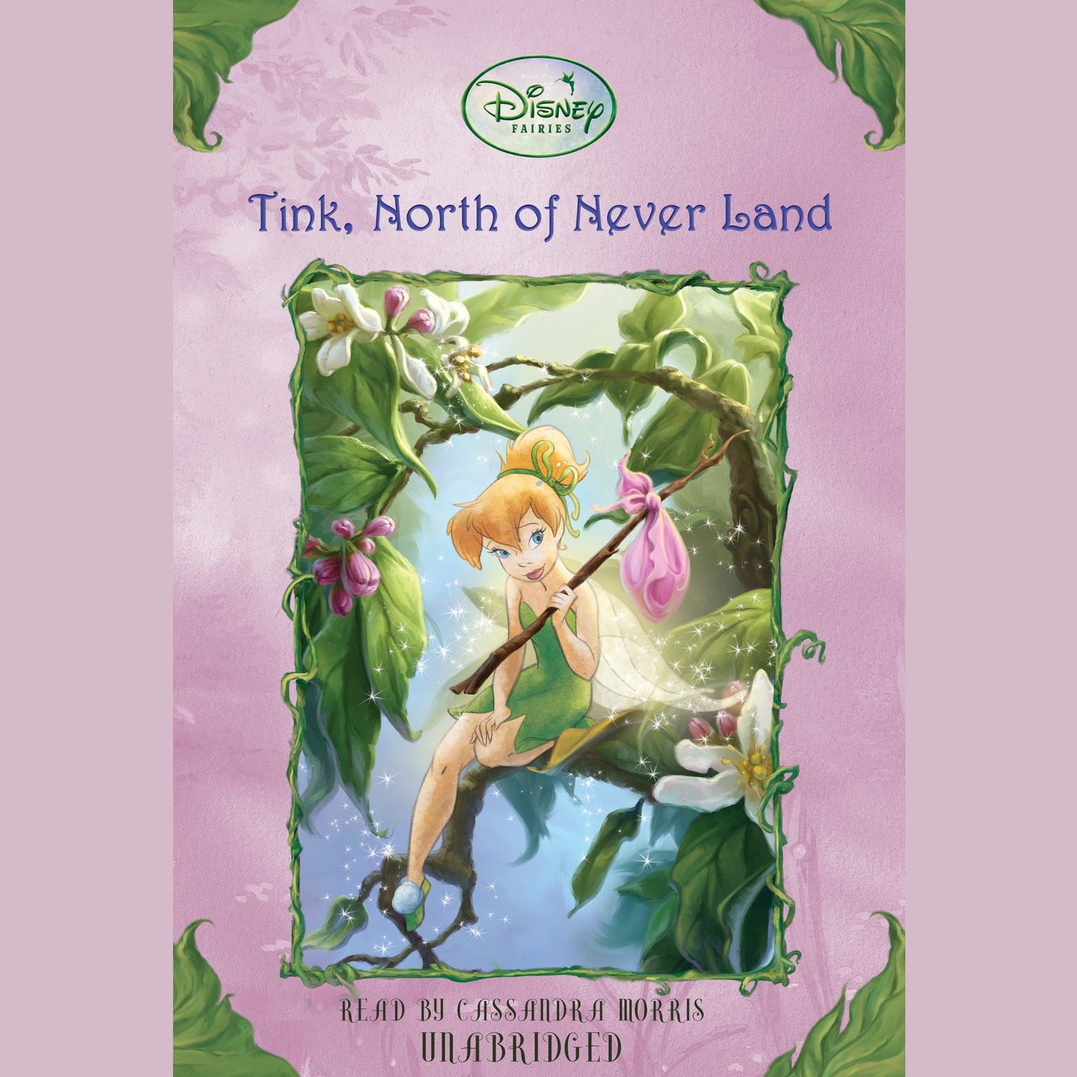 Tink, North of Never Land: Disney Fairies, Book #9 Audiobook, by Kiki Thorpe