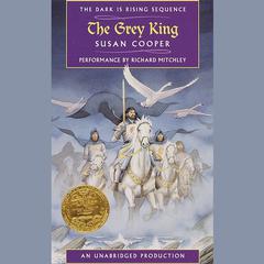 The Grey King Audiobook, by Susan Cooper