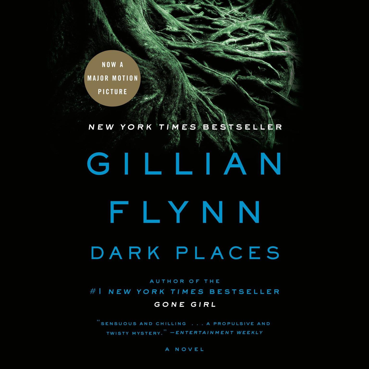 Dark Places: A Novel Audiobook, by Gillian Flynn