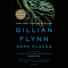 Dark Places: A Novel Audiobook, by 