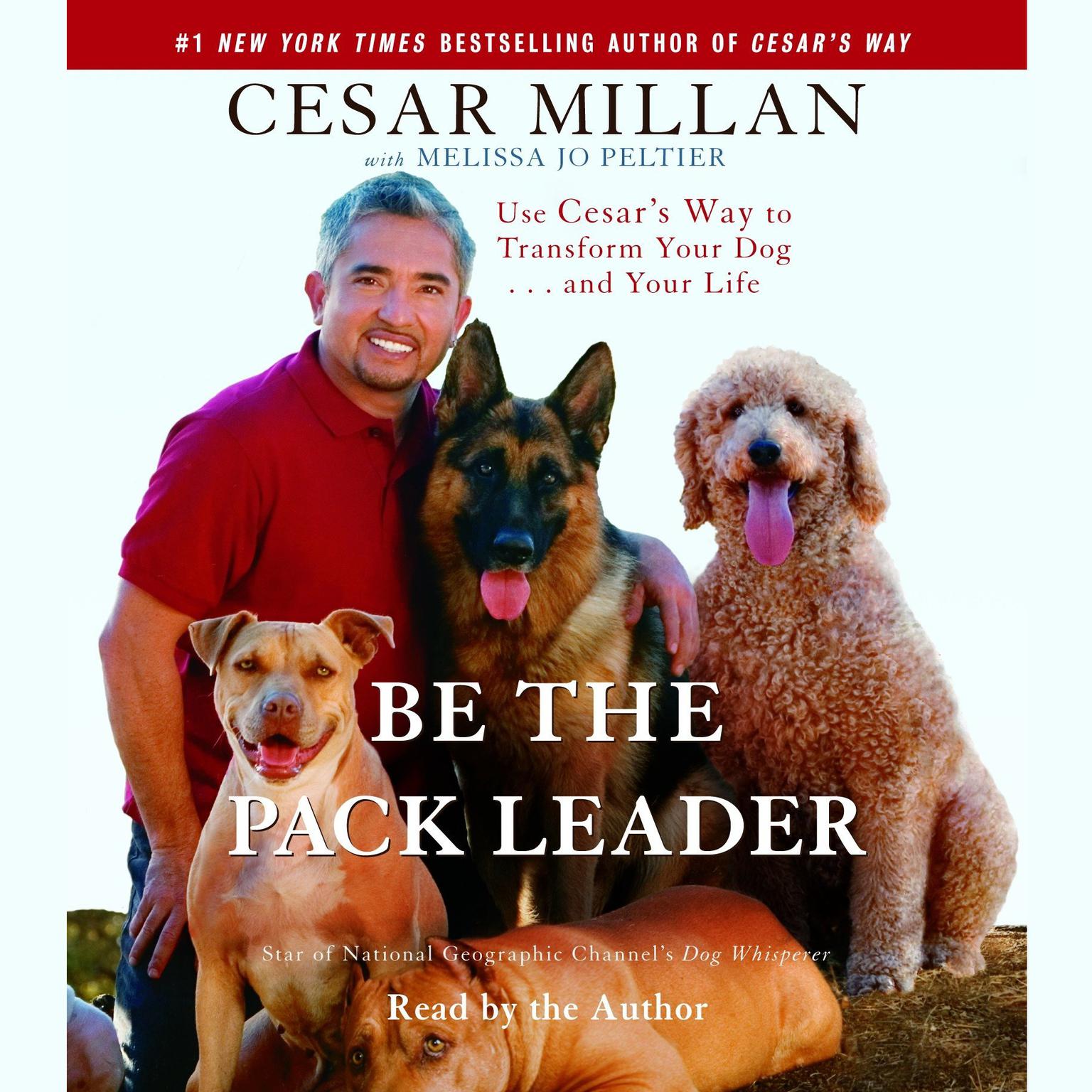 Be the Pack Leader (Abridged): Use Cesars Way to Transform Your Dog . . . and Your Life Audiobook, by Cesar Millan