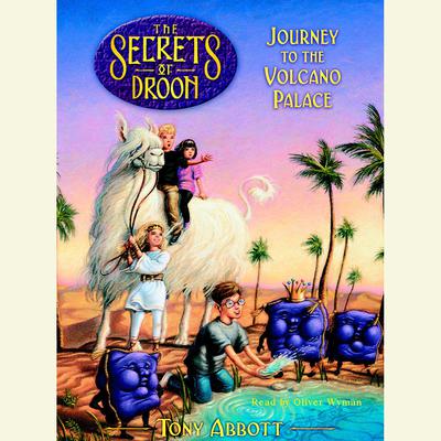 Journey to the Volcano Palace: The Secrets of Droon Book 2 Audiobook, by 