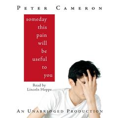 Someday This Pain Will Be Useful to You Audiobook, by Peter Cameron