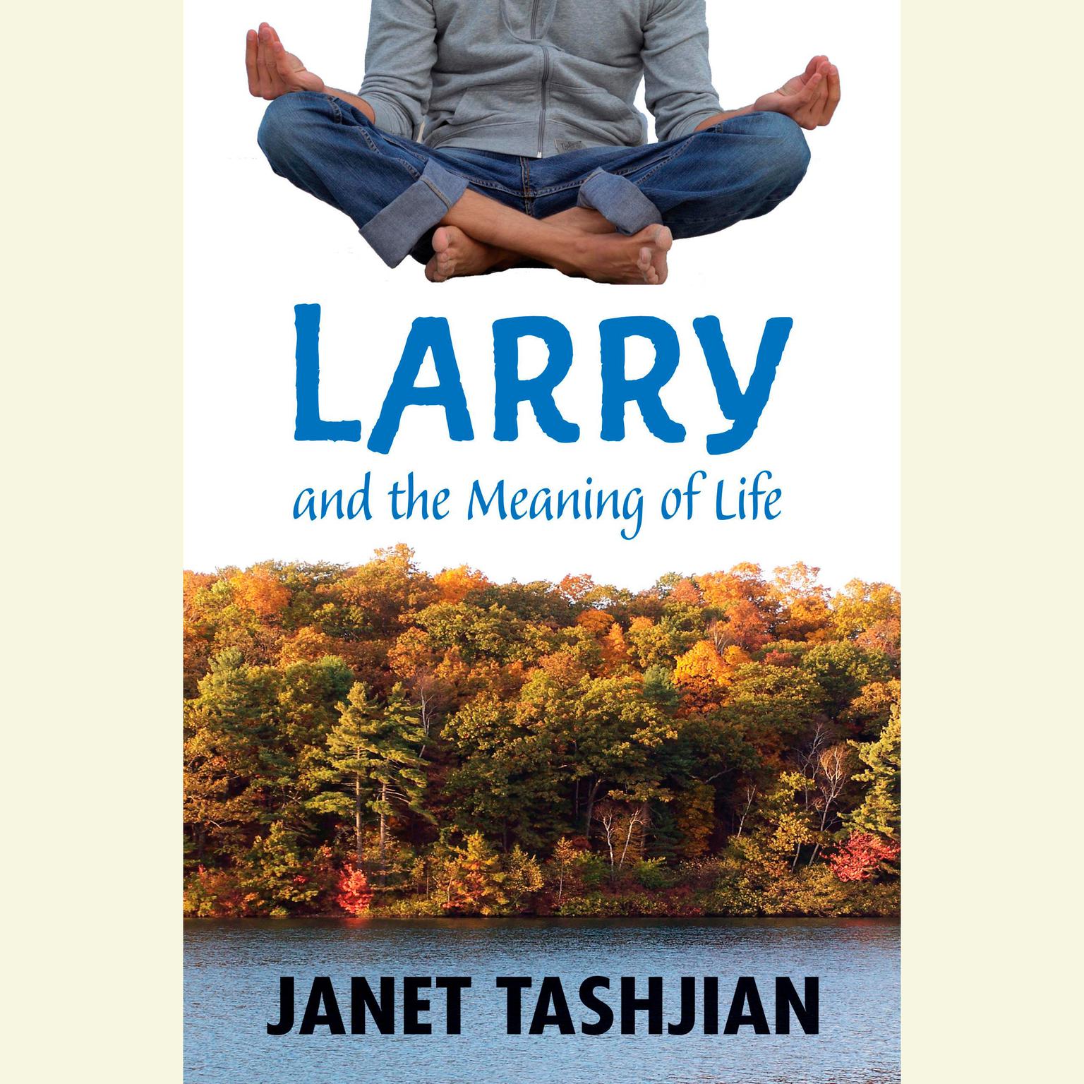 Larry and the Meaning of Life Audiobook, by Janet Tashjian