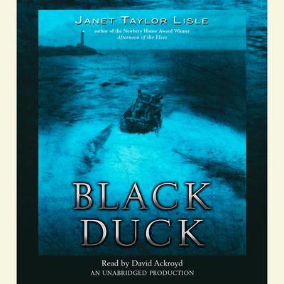 Black Duck Audiobook, by Janet Taylor Lisle