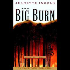 The Big Burn Audiobook, by Jeanette Ingold