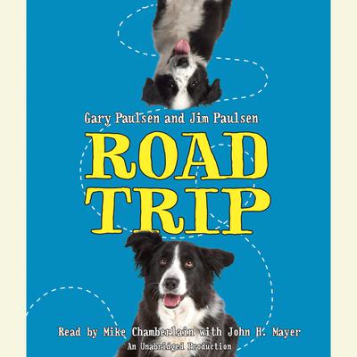Road Trip Audiobook, by Gary Paulsen