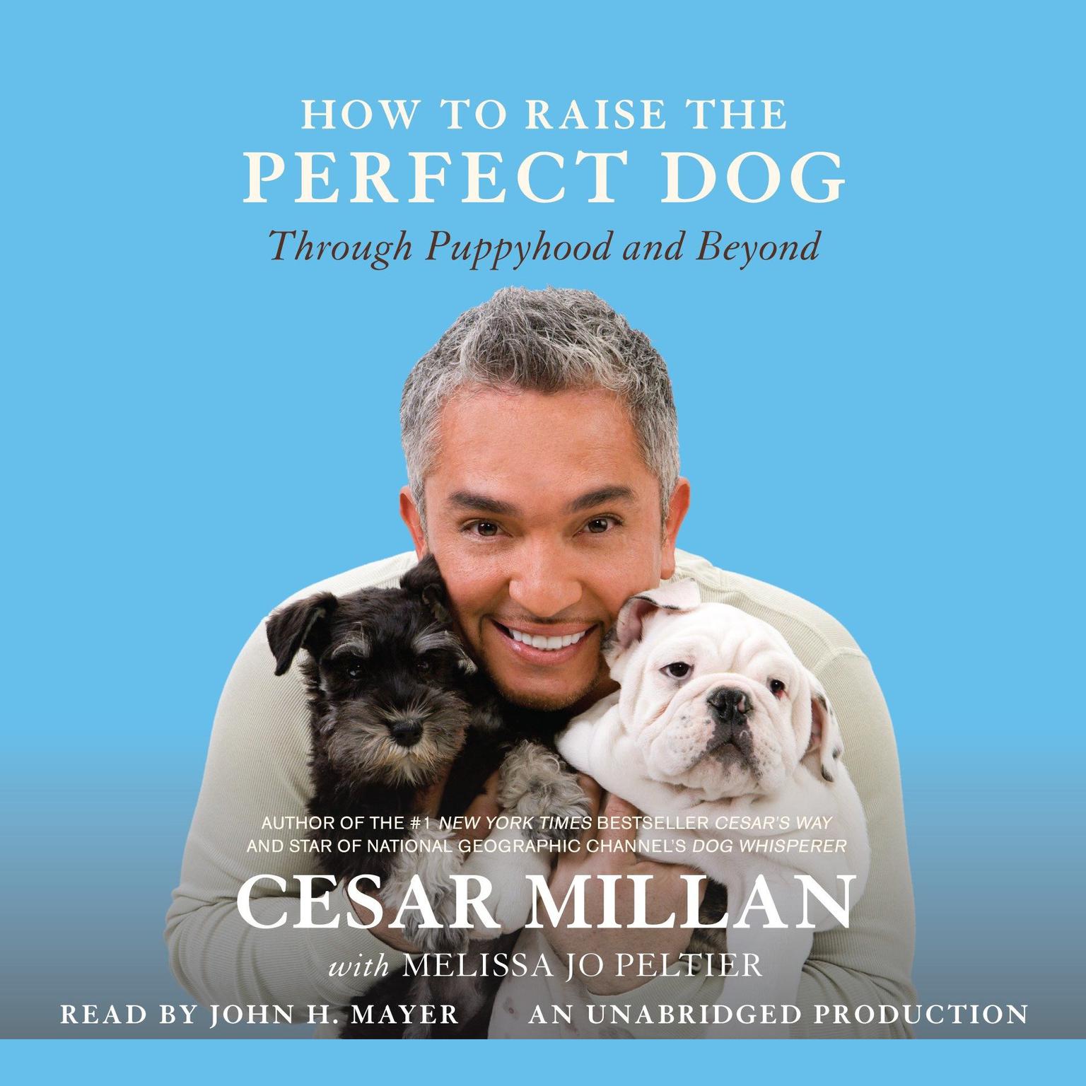How to Raise the Perfect Dog: Through Puppyhood and Beyond Audiobook, by Cesar Millan